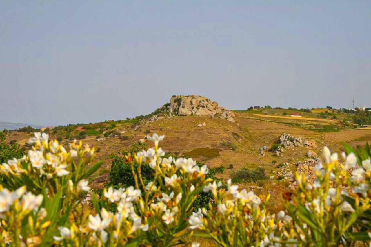 Villa Styliani Dhrousha Dış mekan fotoğraf