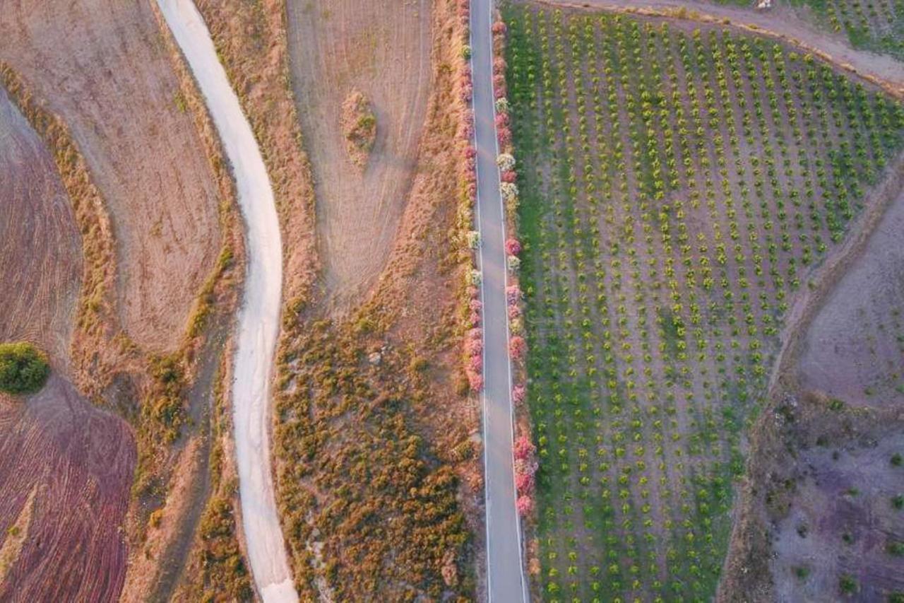 Villa Styliani Dhrousha Dış mekan fotoğraf